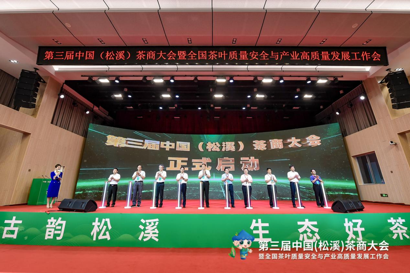 有关于福建又一县在中国白茶中占有重要地位！的相关内容(1)