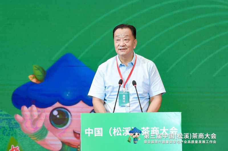 有关于福建又一县在中国白茶中占有重要地位！的相关内容(3)
