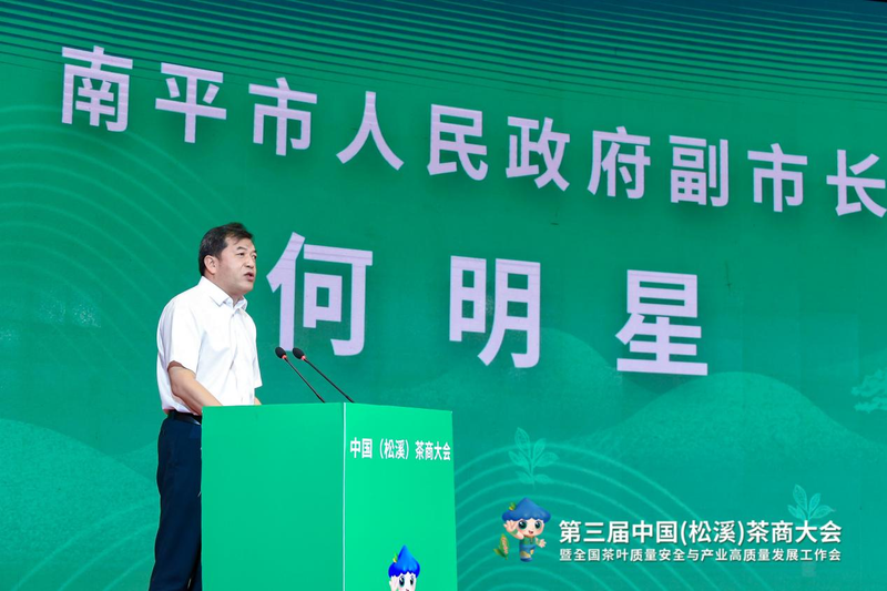 有关于福建又一县在中国白茶中占有重要地位！的相关内容(5)