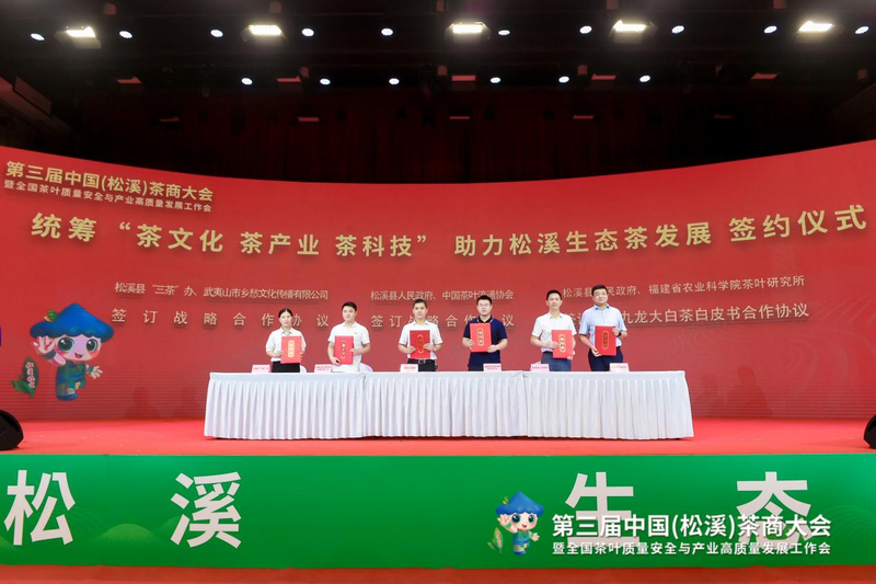有关于福建又一县在中国白茶中占有重要地位！的相关内容(10)