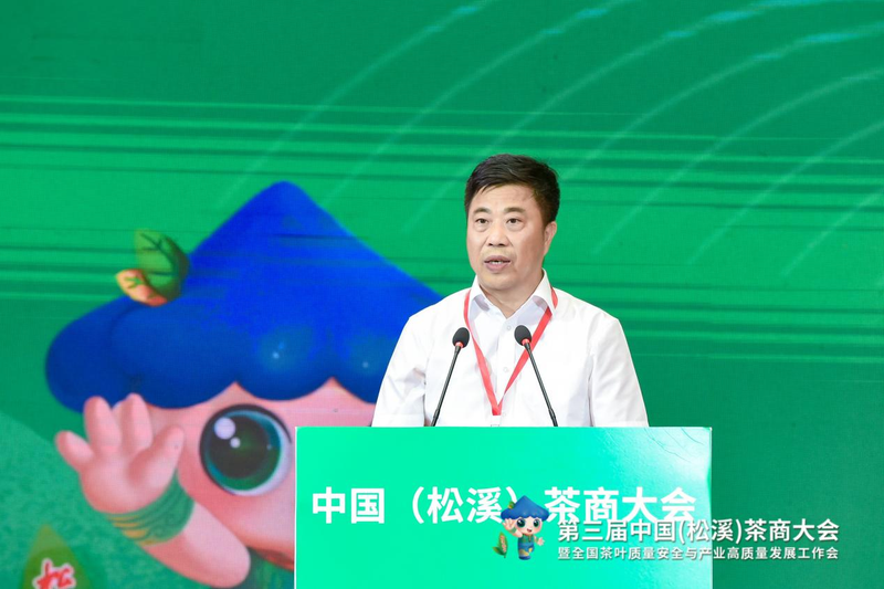 有关于福建又一县在中国白茶中占有重要地位！的相关内容(4)