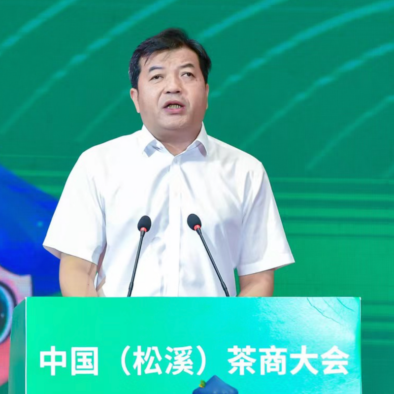 关于第三届中国（松溪）茶商大会暨全国茶叶质量安全与产业高质量发展工作会在福建松溪拉开帷幕！的新闻(4)