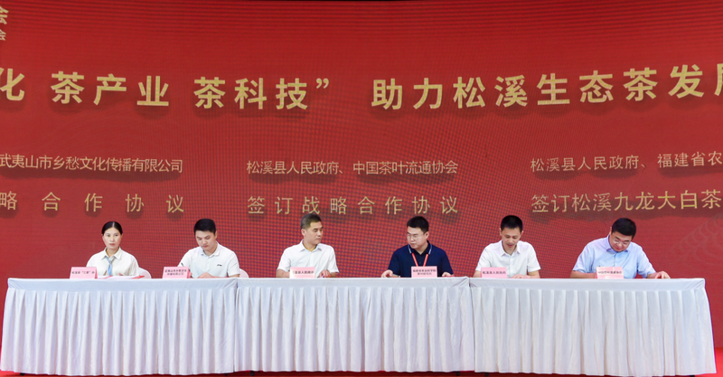 关于第三届中国（松溪）茶商大会暨全国茶叶质量安全与产业高质量发展工作会在福建松溪拉开帷幕！的新闻(8)