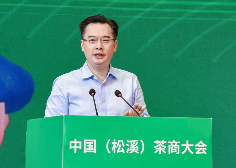 关于第三届中国（松溪）茶商大会暨全国茶叶质量安全与产业高质量发展工作会在福建松溪拉开帷幕！的新闻(11)