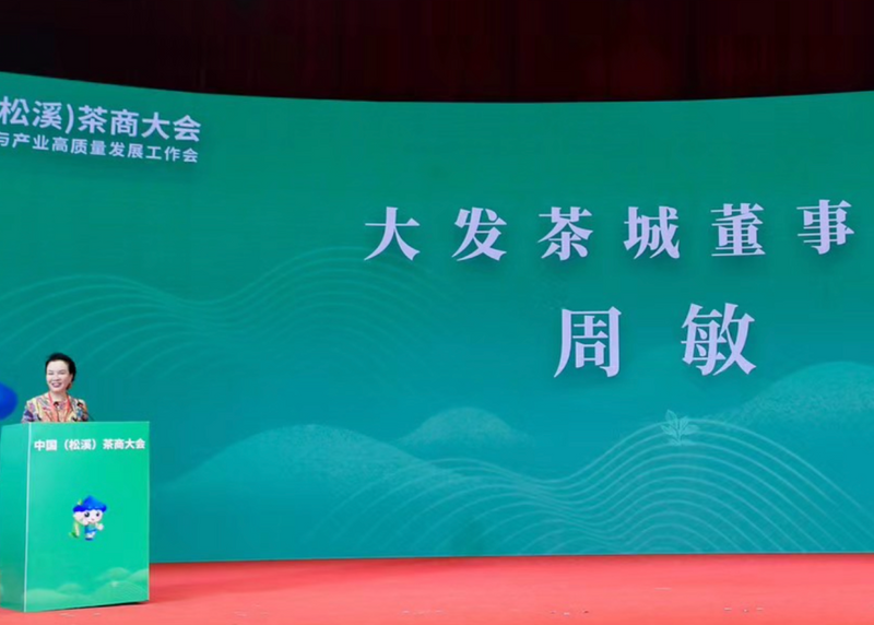 关于第三届中国（松溪）茶商大会暨全国茶叶质量安全与产业高质量发展工作会在福建松溪拉开帷幕！的新闻(12)