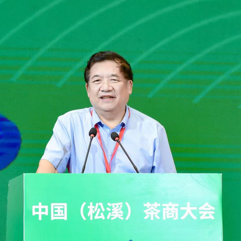 关于第三届中国（松溪）茶商大会暨全国茶叶质量安全与产业高质量发展工作会在福建松溪拉开帷幕！的新闻(5)