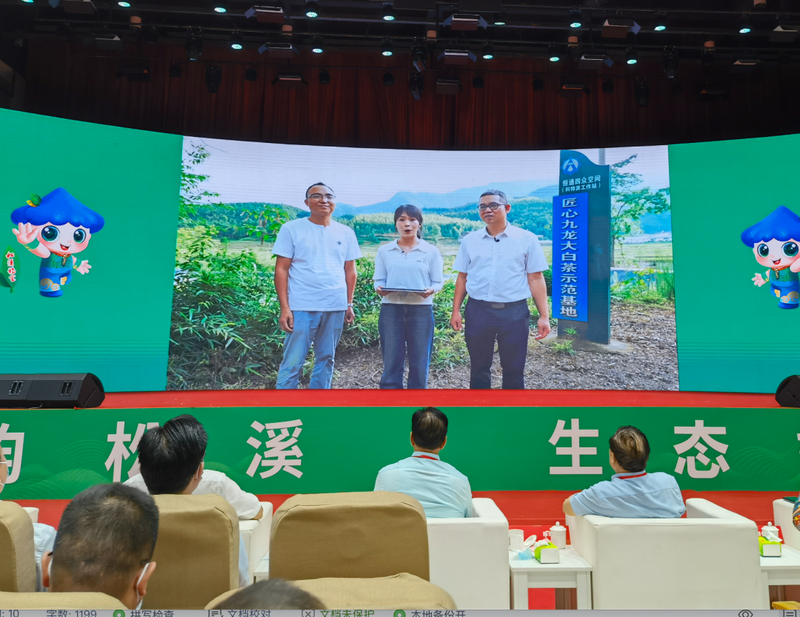 关于第三届中国（松溪）茶商大会暨全国茶叶质量安全与产业高质量发展工作会在福建松溪拉开帷幕！的新闻(6)