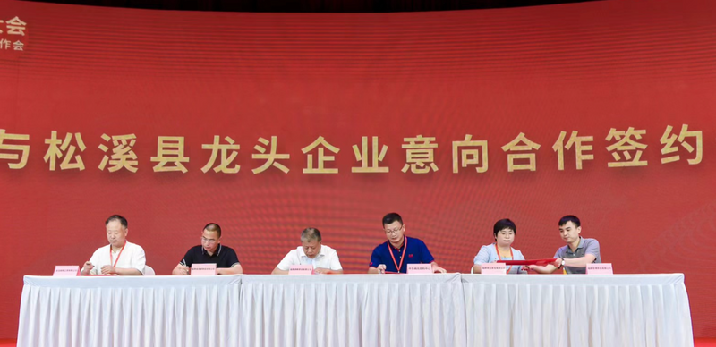 关于第三届中国（松溪）茶商大会暨全国茶叶质量安全与产业高质量发展工作会在福建松溪拉开帷幕！的新闻(9)