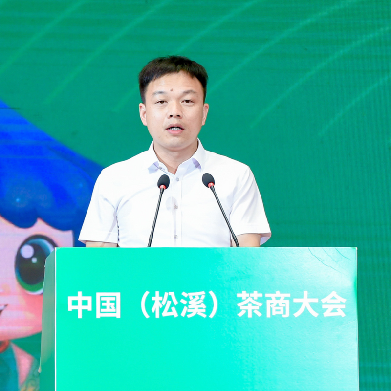 关于第三届中国（松溪）茶商大会暨全国茶叶质量安全与产业高质量发展工作会在福建松溪拉开帷幕！的新闻(1)