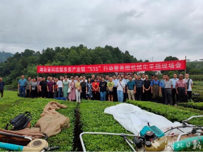 有关于一周速读：红茶进出口、白茶大会、黄茶斗茶大赛、职业技能大赛茶艺、瓶装茶的相关信息(7)