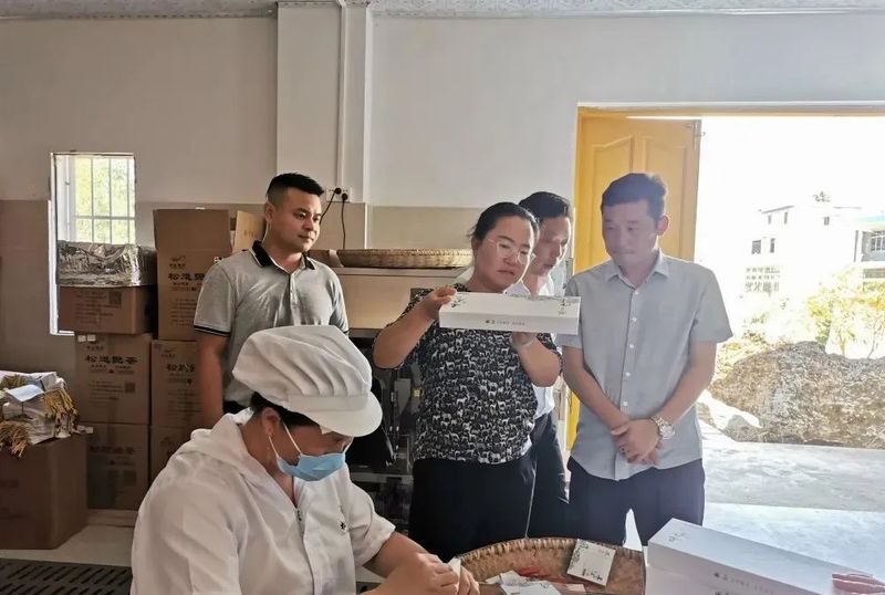关于唐虹到香坝镇调研茶产业发展、乡村振兴等工作的消息(1)