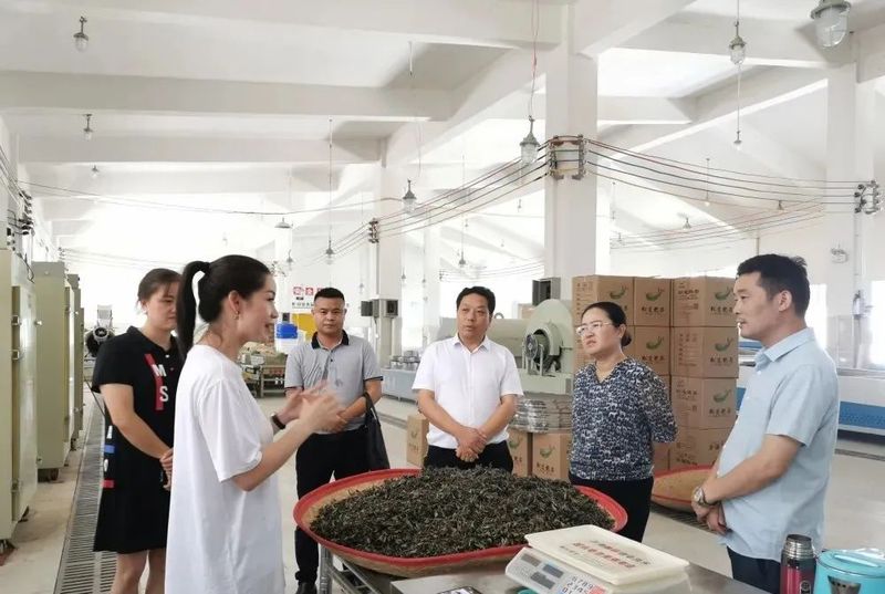 关于唐虹到香坝镇调研茶产业发展、乡村振兴等工作的消息