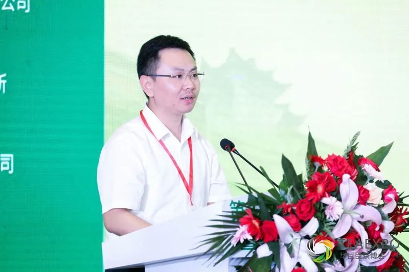 有关于茶缘结缔,泉城相会!2022建阳小白茶济南推介会圆满落幕!的内容(2)