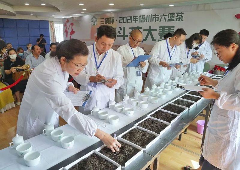 有关于闻茶识香,品茗叙雅,2022年梧州市六堡茶民间斗茶大赛,即将盛启!的资讯