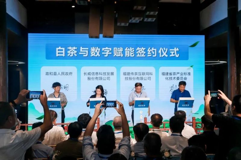 关于政和县在福州举办“白茶与数字赋能”主题茶话会的内容(5)