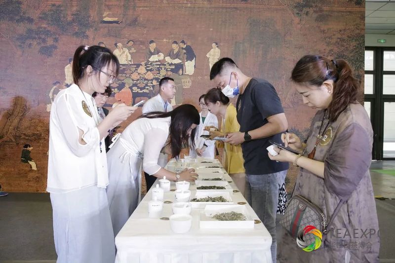 关于“隆合牡丹王”杯鼎承品茶师首届泉城白茶斗茶大赛圆满落幕！的内容(13)