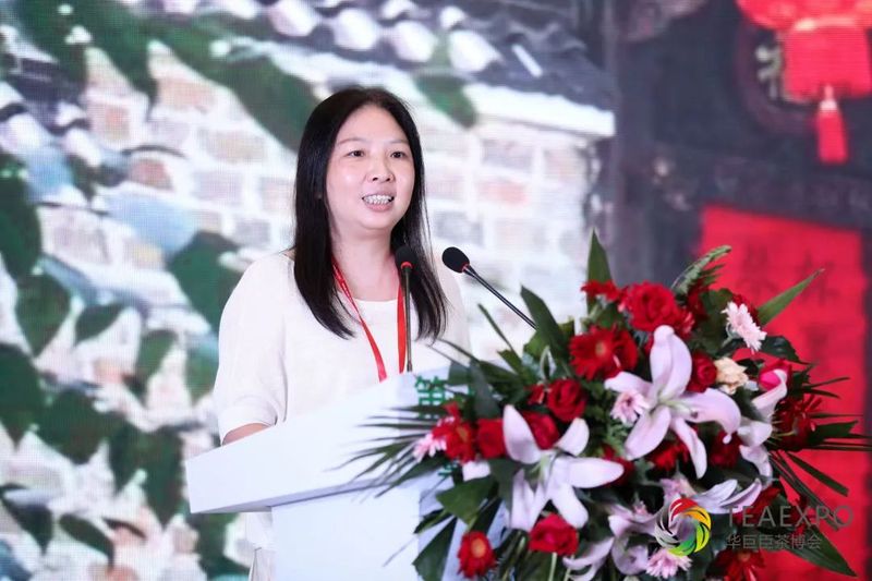 关于“隆合牡丹王”杯鼎承品茶师首届泉城白茶斗茶大赛圆满落幕！的内容(5)
