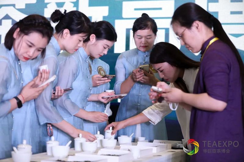 关于“隆合牡丹王”杯鼎承品茶师首届泉城白茶斗茶大赛圆满落幕！的内容(9)