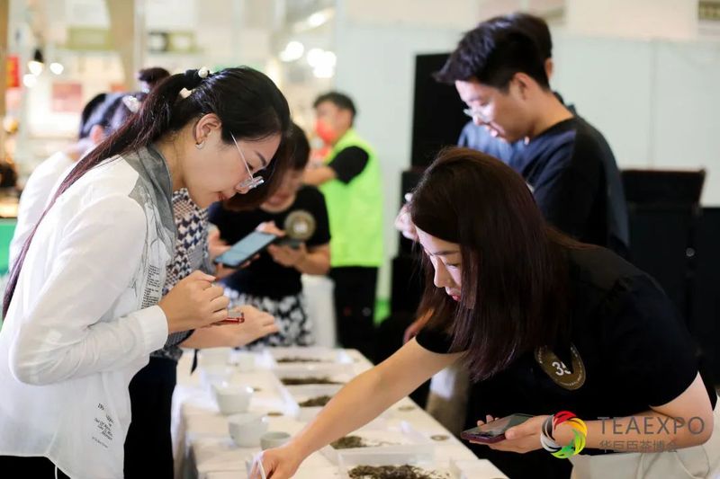 关于“隆合牡丹王”杯鼎承品茶师首届泉城白茶斗茶大赛圆满落幕！的内容(19)