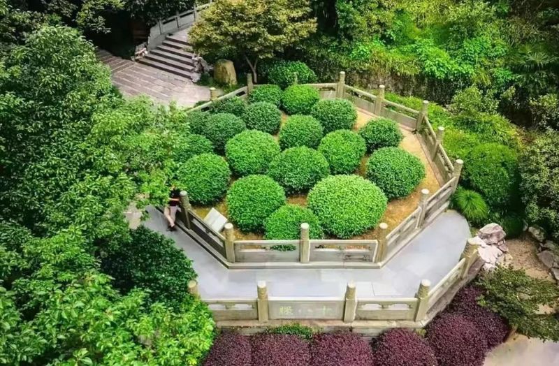 有关于杭州农遗“金字招牌” 西湖龙井茶文化系统的信息(1)