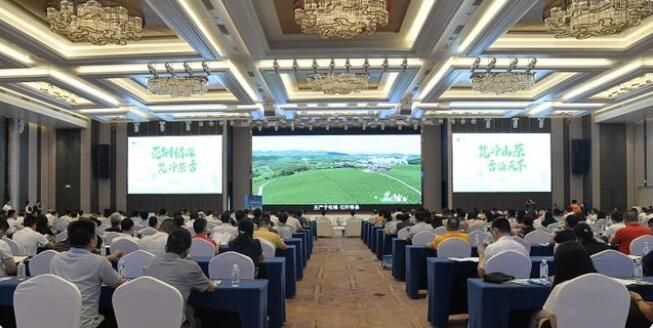 关于签约总金额8.98亿元！铜仁生态茶产业东莞招商推介活动成果丰硕的资讯