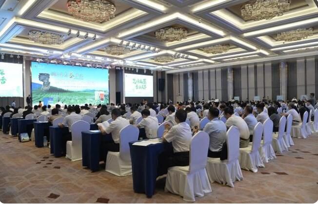关于签约总金额8.98亿元！铜仁生态茶产业东莞招商推介活动成果丰硕的资讯(2)