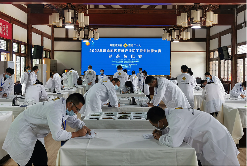 关于雅安市参赛选手在川渝茶叶竞赛中获得佳绩的相关内容(1)