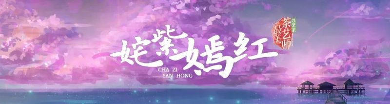 关于浮梁茶 有声色！第五季《最美茶艺师》12强诞生！的内容(24)