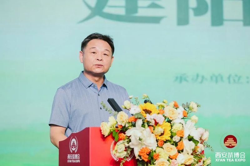 有关于建阳好茶,飘香长安!2022建阳小白茶西安推介会圆满落幕!的相关信息(3)