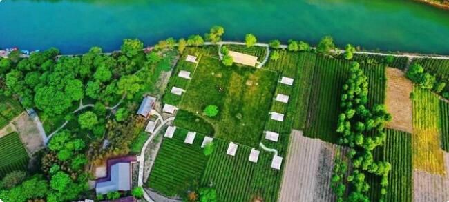 有关于兰州海关助力甘肃茶叶出口实现“零突破”的内容