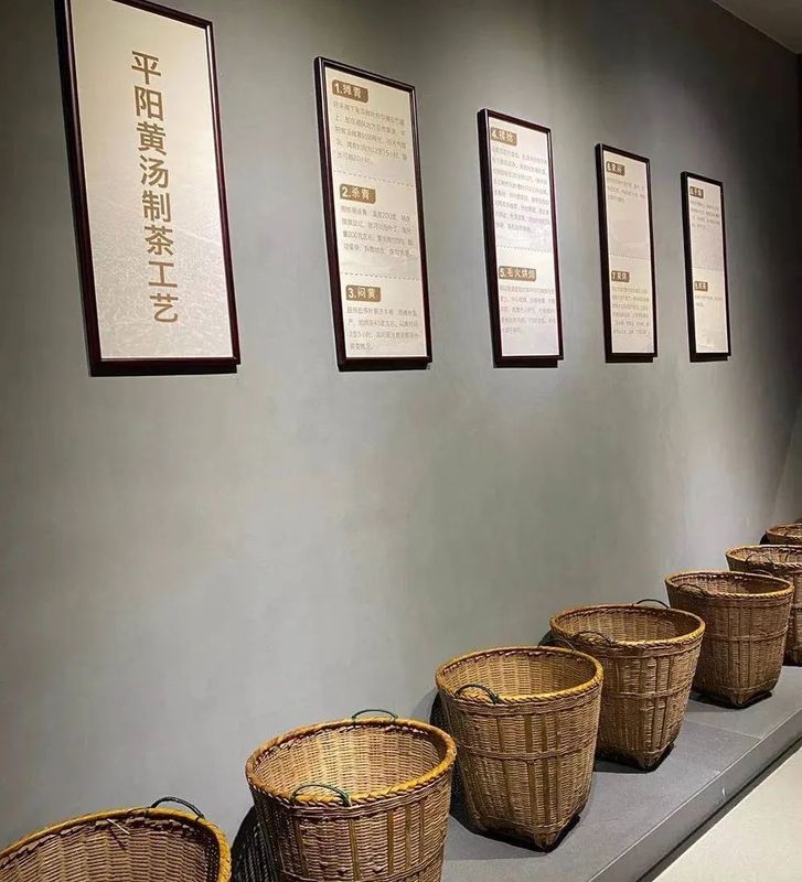 有关于朝阳山平阳黄汤非遗技艺体验馆获称2022年度第二批温州市“瓯越非遗百家坊”的信息(5)