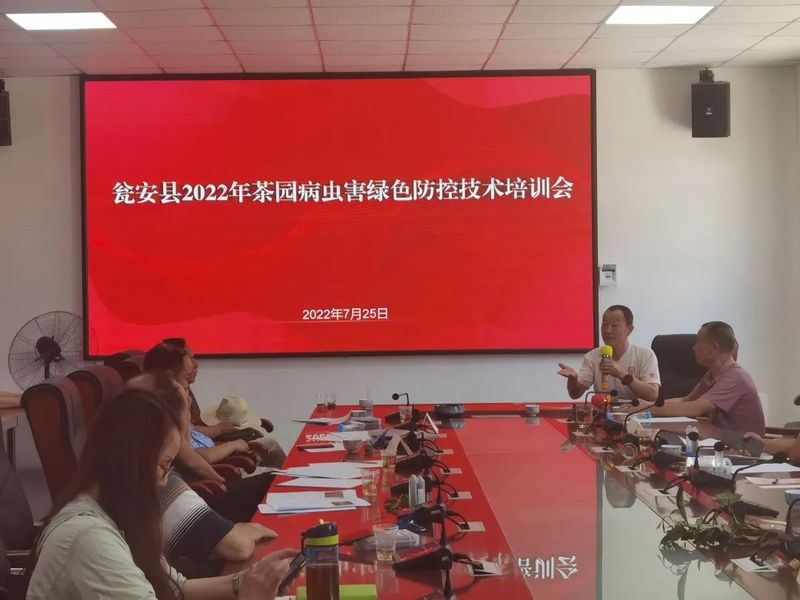 有关于省级茶叶植保“揭榜挂帅”团队开展技术培训的新闻(3)
