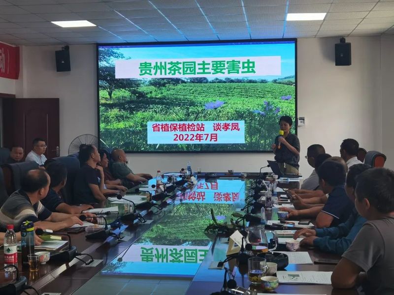有关于省级茶叶植保“揭榜挂帅”团队开展技术培训的新闻(4)