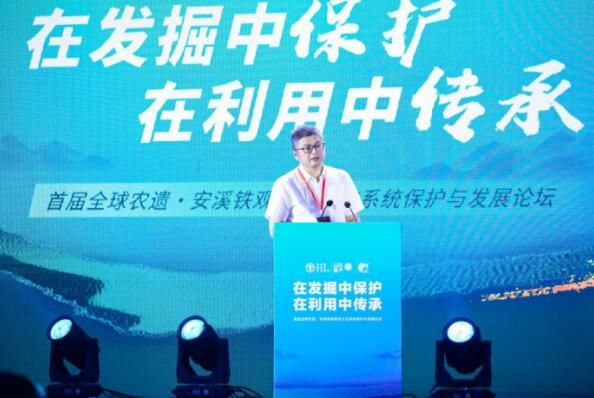 关于首届全球农遗·安溪铁观音茶文化系统保护与发展论坛成功开幕的信息(6)