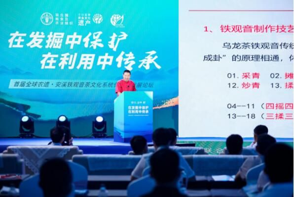 关于首届全球农遗·安溪铁观音茶文化系统保护与发展论坛成功开幕的信息(8)