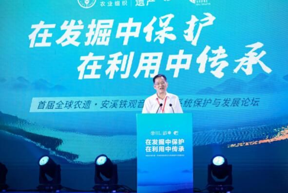 关于首届全球农遗·安溪铁观音茶文化系统保护与发展论坛成功开幕的信息(5)