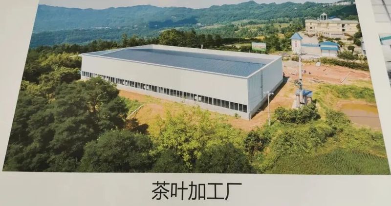 有关于​四川省茶叶行业协会调研巴州区茶产业的信息(2)