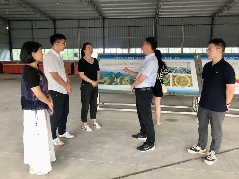 有关于​四川省茶叶行业协会调研巴州区茶产业的信息(3)