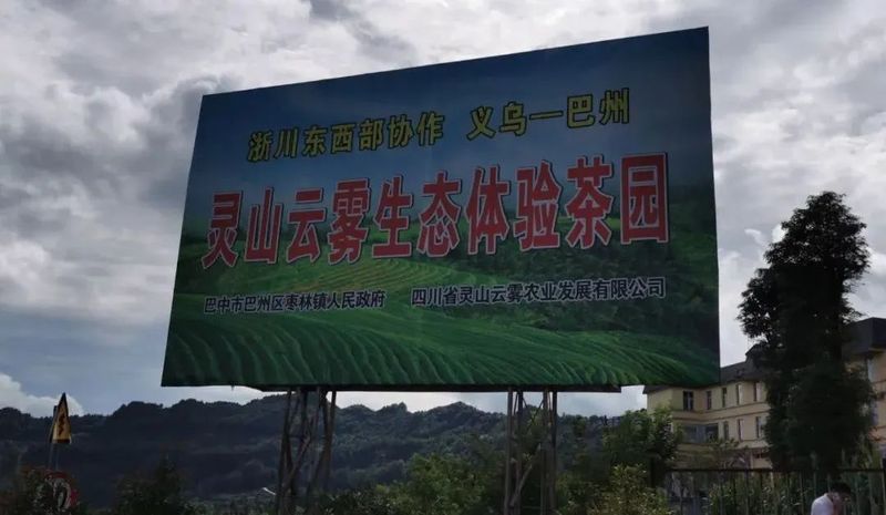 有关于​四川省茶叶行业协会调研巴州区茶产业的信息(6)