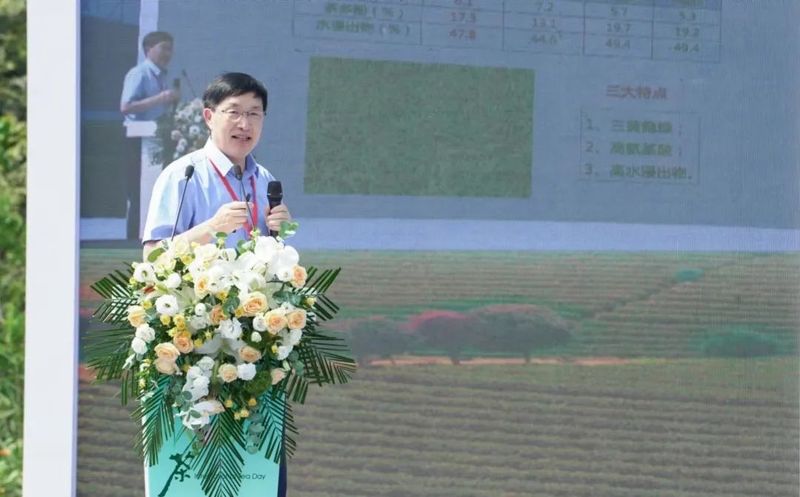 关于2022国际茶日“皖美茶香” 暨广德黄金芽交易市场开市活动成功举办的相关信息(4)