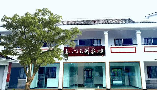 关于给龙门黄茶最好的献礼：“特别金奖”百里挑一的消息(2)