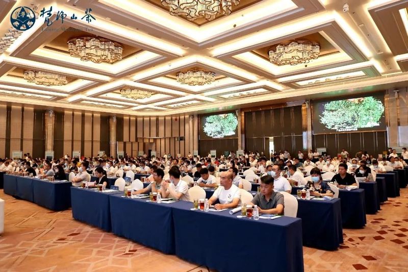 有关于贵州铜仁生态茶产业东莞招商推介会圆满举行的消息(5)