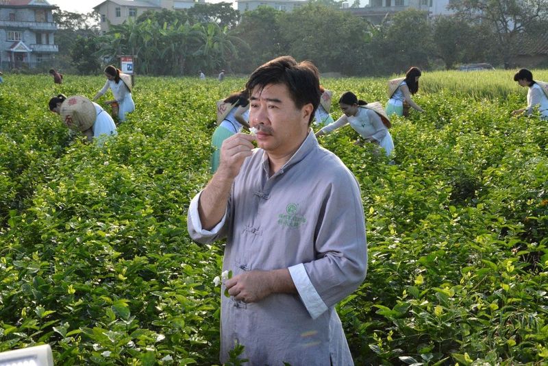 有关于还愿茉莉香久远，坊巷茶韵永流传的相关信息(3)