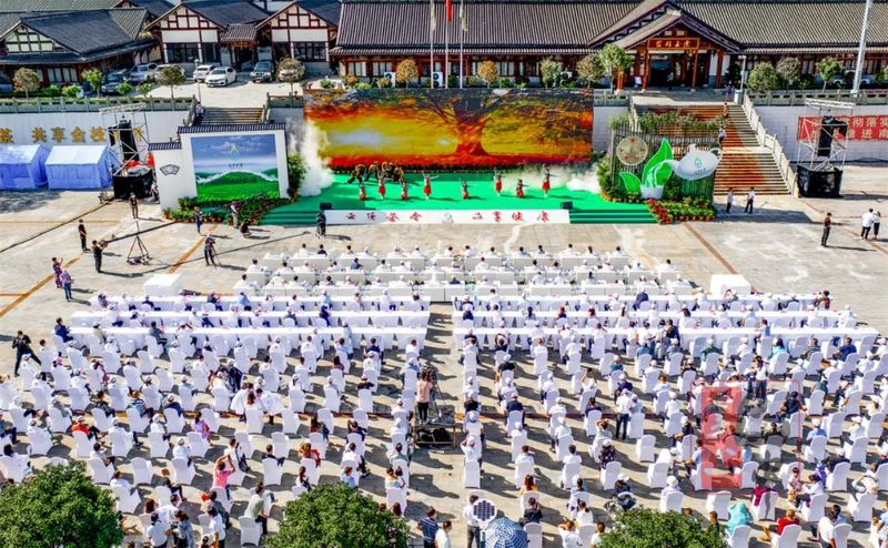 有关于云顶茶乡 品享健康——第七届“巴中云顶”茶文化旅游节圆满落幕!的相关信息