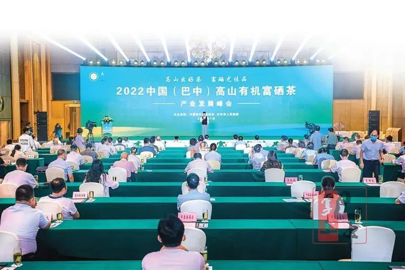 有关于云顶茶乡 品享健康——第七届“巴中云顶”茶文化旅游节圆满落幕!的相关信息(7)