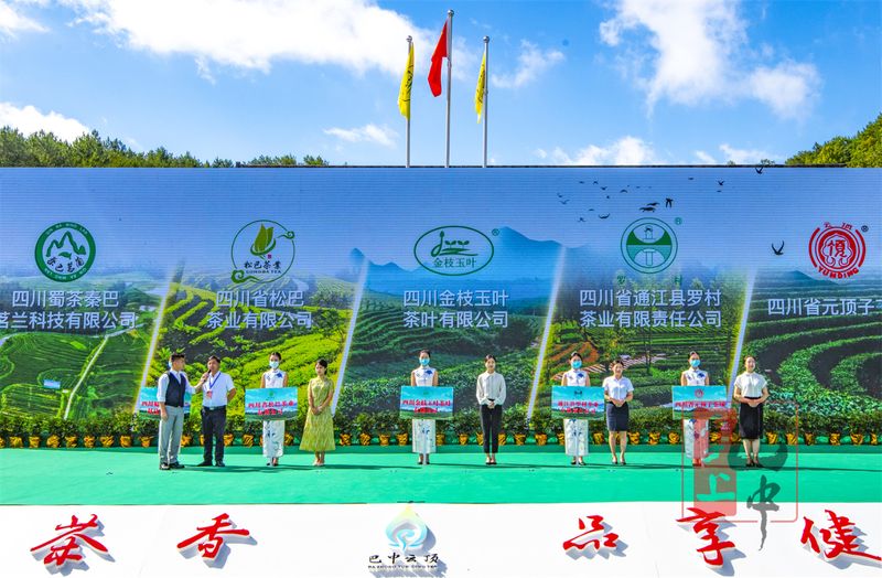 有关于云顶茶乡 品享健康——第七届“巴中云顶”茶文化旅游节圆满落幕!的相关信息(4)