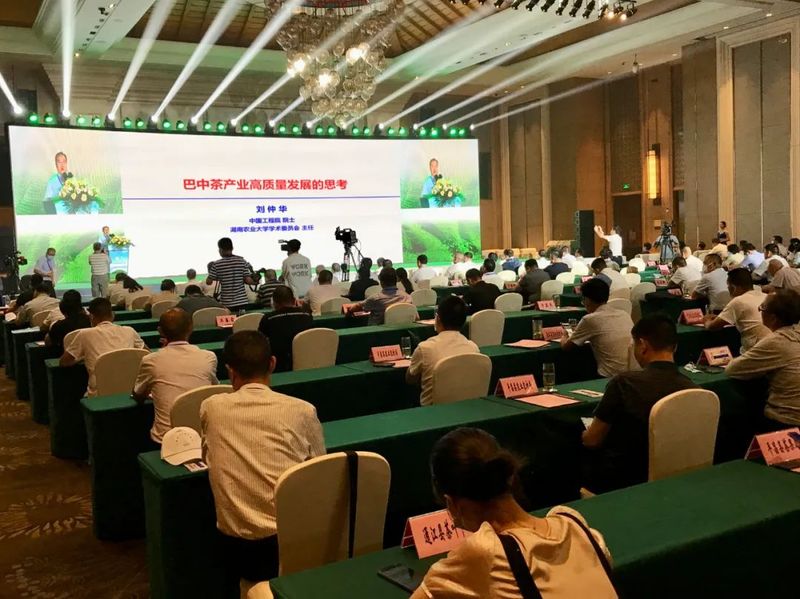 有关于云顶茶乡 品享健康——第七届“巴中云顶”茶文化旅游节圆满落幕!的相关信息(8)
