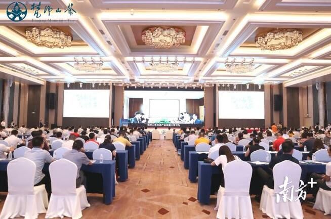 关于铜仁生态茶产业东莞招商推介会签约资金达8.98亿元的信息(1)