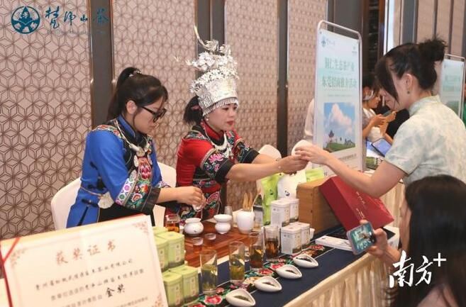 关于铜仁生态茶产业东莞招商推介会签约资金达8.98亿元的信息(2)