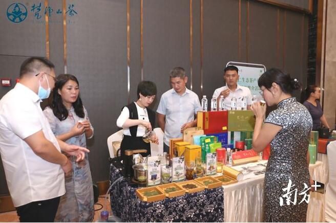关于铜仁生态茶产业东莞招商推介会签约资金达8.98亿元的信息(4)